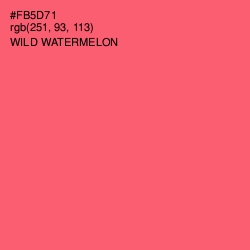 #FB5D71 - Wild Watermelon Color Image