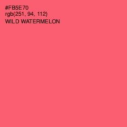 #FB5E70 - Wild Watermelon Color Image