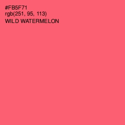 #FB5F71 - Wild Watermelon Color Image