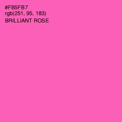 #FB5FB7 - Brilliant Rose Color Image