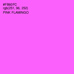 #FB60FC - Pink Flamingo Color Image