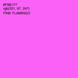 #FB61F7 - Pink Flamingo Color Image