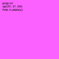 #FB61FF - Pink Flamingo Color Image