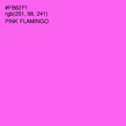 #FB62F1 - Pink Flamingo Color Image