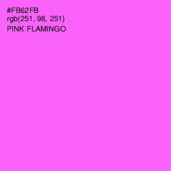 #FB62FB - Pink Flamingo Color Image