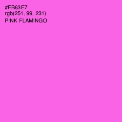 #FB63E7 - Pink Flamingo Color Image