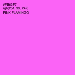 #FB63F7 - Pink Flamingo Color Image