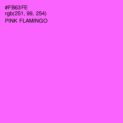 #FB63FE - Pink Flamingo Color Image