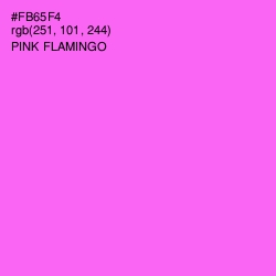 #FB65F4 - Pink Flamingo Color Image