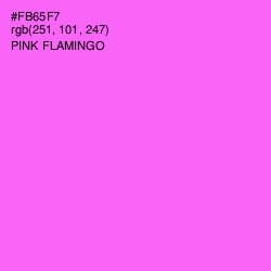 #FB65F7 - Pink Flamingo Color Image