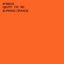 #FB6626 - Burning Orange Color Image