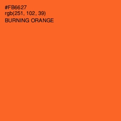 #FB6627 - Burning Orange Color Image