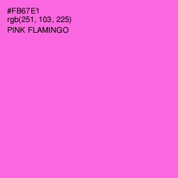 #FB67E1 - Pink Flamingo Color Image