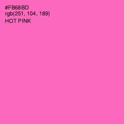 #FB68BD - Hot Pink Color Image