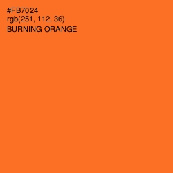 #FB7024 - Burning Orange Color Image