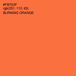 #FB703F - Burning Orange Color Image