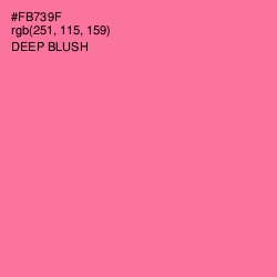 #FB739F - Deep Blush Color Image