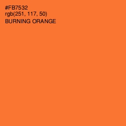 #FB7532 - Burning Orange Color Image