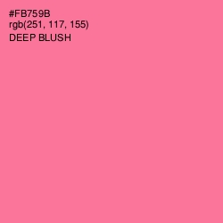 #FB759B - Deep Blush Color Image