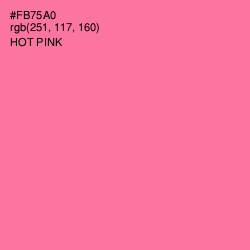 #FB75A0 - Hot Pink Color Image