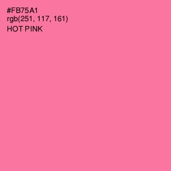 #FB75A1 - Hot Pink Color Image