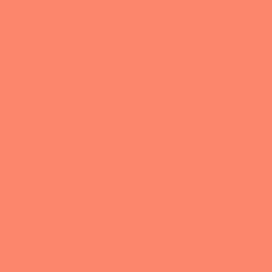 #FB866B - Salmon Color Image