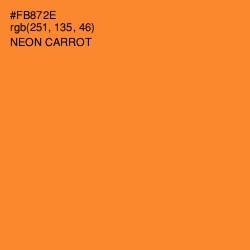 #FB872E - Neon Carrot Color Image