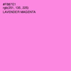 #FB87E1 - Lavender Magenta Color Image