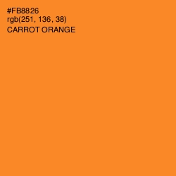 #FB8826 - Carrot Orange Color Image