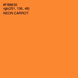 #FB8830 - Neon Carrot Color Image