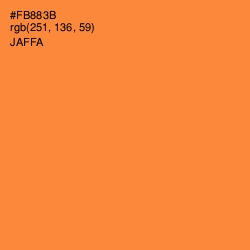 #FB883B - Jaffa Color Image