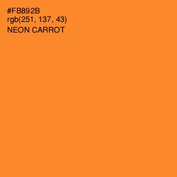 #FB892B - Neon Carrot Color Image