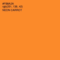 #FB8A2A - Neon Carrot Color Image