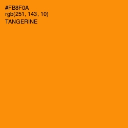 #FB8F0A - Tangerine Color Image