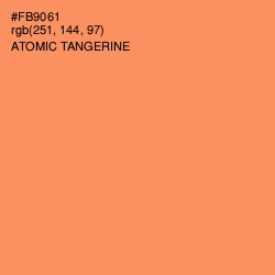 #FB9061 - Atomic Tangerine Color Image