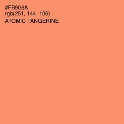 #FB906A - Atomic Tangerine Color Image