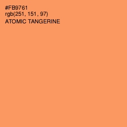 #FB9761 - Atomic Tangerine Color Image