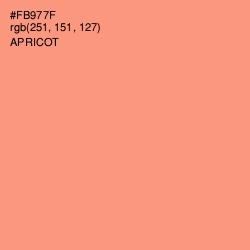 #FB977F - Apricot Color Image