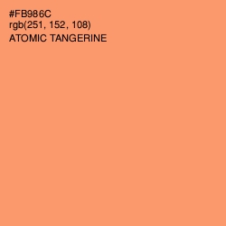 #FB986C - Atomic Tangerine Color Image