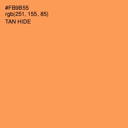 #FB9B55 - Tan Hide Color Image