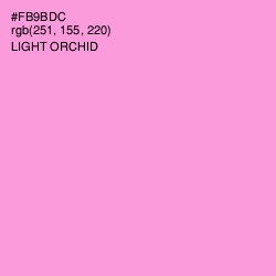 #FB9BDC - Light Orchid Color Image