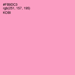 #FB9DC3 - Kobi Color Image