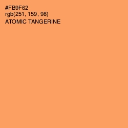 #FB9F62 - Atomic Tangerine Color Image