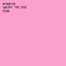 #FB9FCB - Kobi Color Image