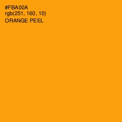 #FBA00A - Orange Peel Color Image