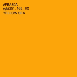 #FBA50A - Yellow Sea Color Image