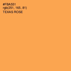 #FBA551 - Texas Rose Color Image