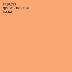 #FBA771 - Rajah Color Image