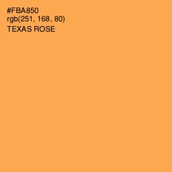 #FBA850 - Texas Rose Color Image