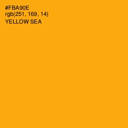 #FBA90E - Yellow Sea Color Image